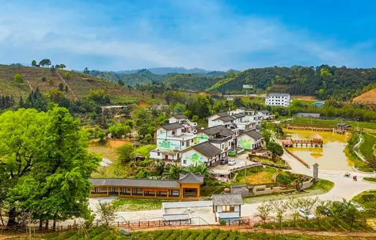 苍梧茶山基地