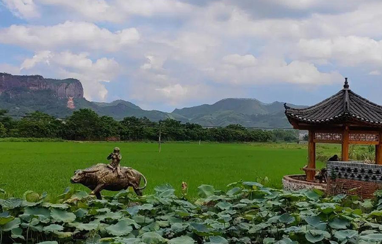 贵县茶山基地